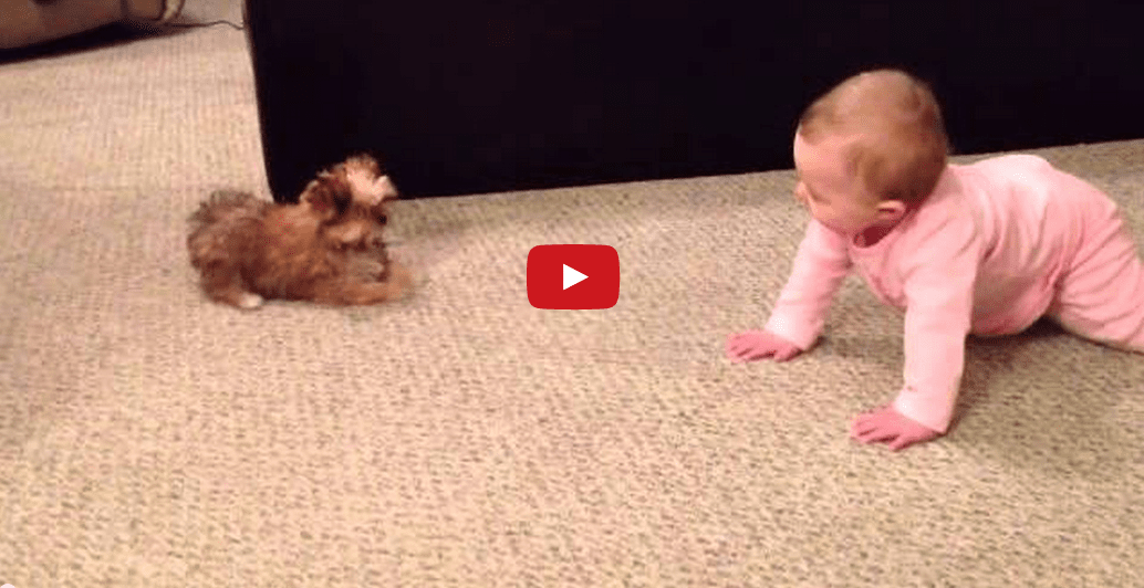 This Conversation Between a Baby and a Dog is TOO CUTE!!