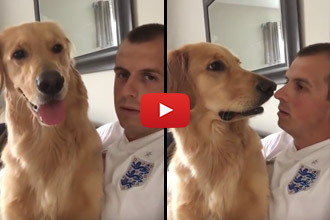 This Dog's Reaction To The Latest News From Dad Is Hilarious!