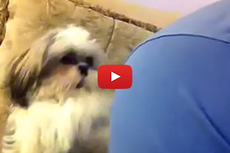 This Dog's Trick Will Make You Laugh Out Loud!