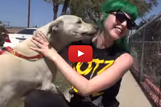 This Dog Was Abandoned In The Heat, But Watch What Happens When They Go To Rescue Her