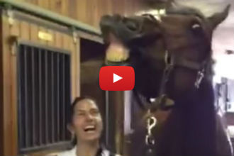 This Horse Blows out His Birthday Candles and Has the Most Amazing Reaction!