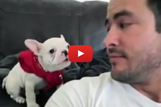 This Is One Cute Puppy, Especially When He Talks Back To His Owner!