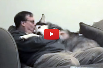 This Is One Dog Who Loves His Human!