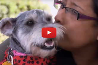 This Is One Reunion That Will Bring Tears To Your Eyes