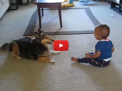 This Laughing Baby and Playful Dog is Guaranteed to Put a Smile on Your Face!