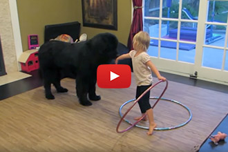 This Little Girl Is Trying To Teach Her Dog To Hula Hoop