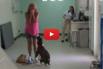 This Quadriplegic Dog Walks for the First Time and His Owner Totally Freaks Out!