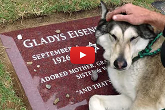 This Sad Therapy Dog Cries at His Dead Grandmother's Gravesite