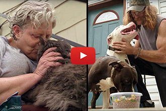 This Woman's Mobile Food Bank For Pets Is Unlike Any Other Charity