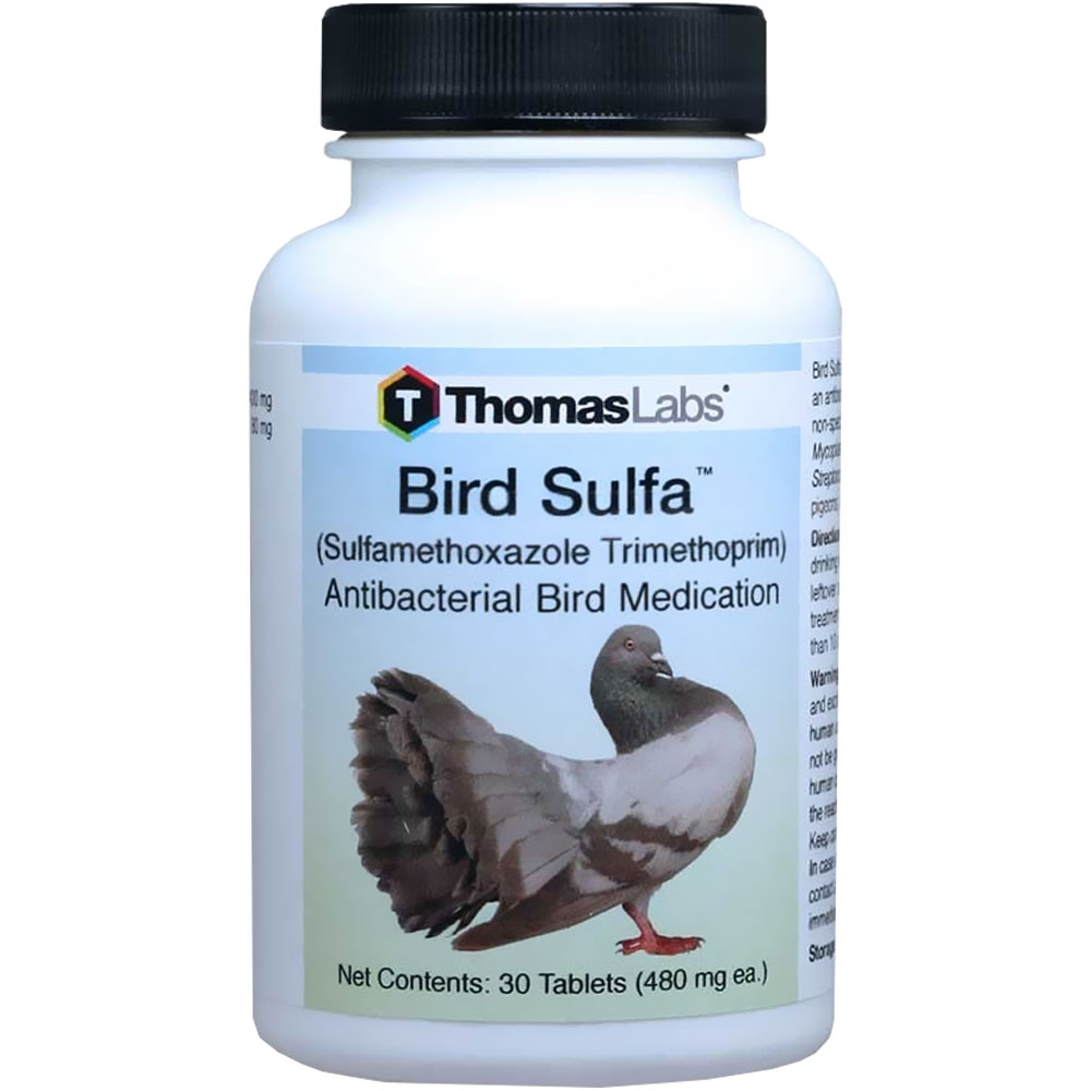 Thomas Labs Bird Sulfa