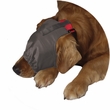 ThunderCap