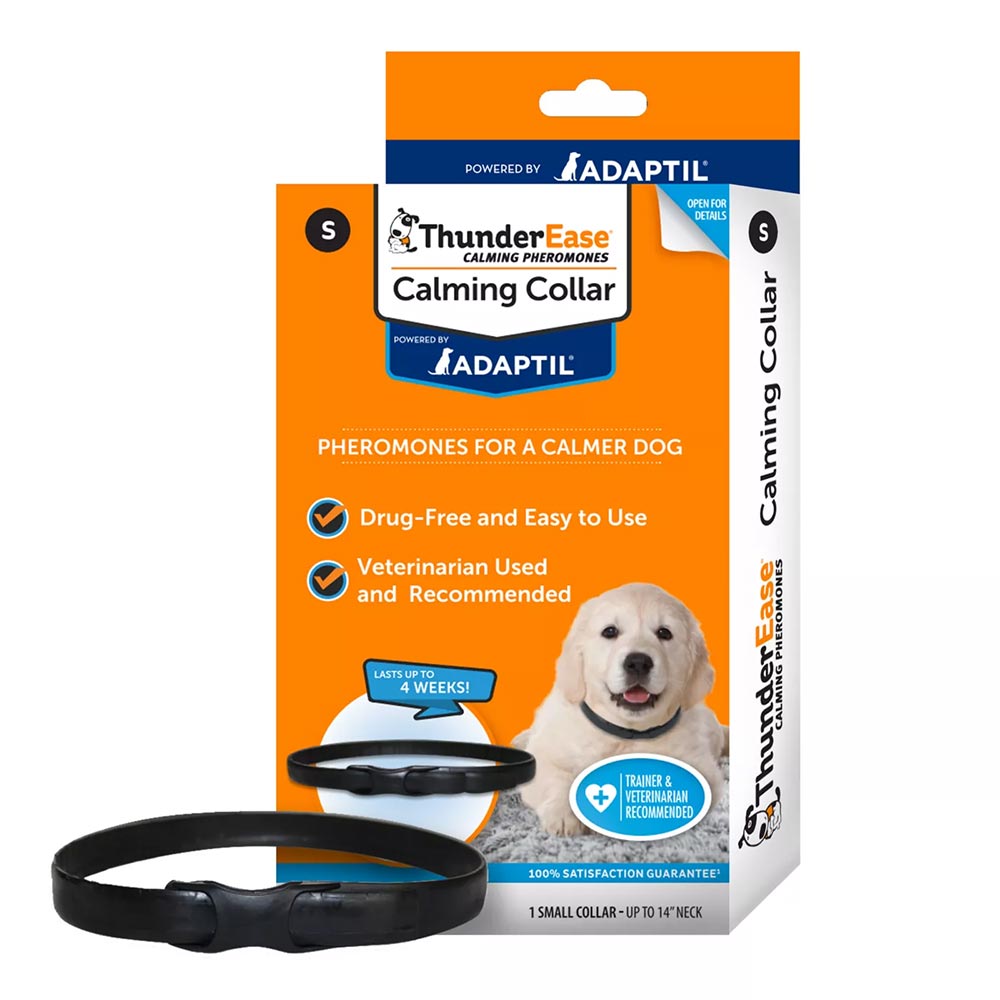 THUNDEREASE-COLLAR-SMALL