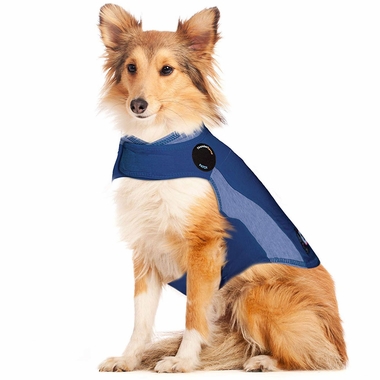 THUNDERSHIRT-BLUE-LARGE