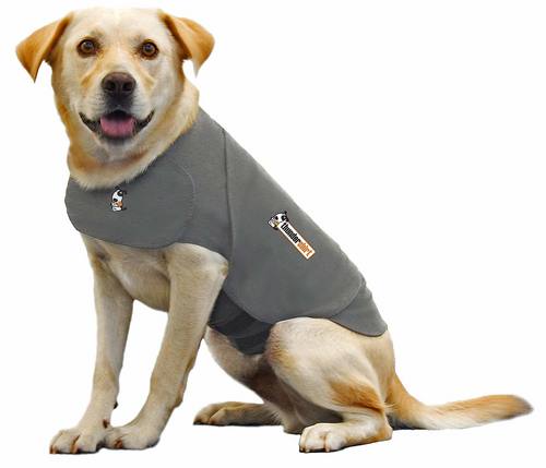 THUNDERSHIRTXXL
