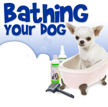 Tips for Bathing Your Dog