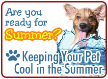 Tips For Keeping Your Pet Cool in the Summer
