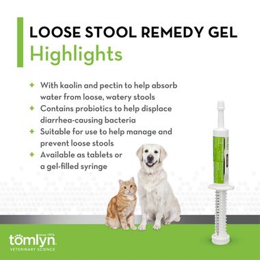 FIRM-FAST-LOOSE-STOOL-REMEDY-GEL-15-CC