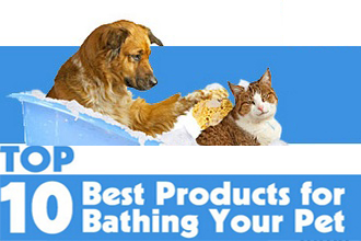 Top 10 Bath Products
