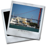 Top 10 Places To Travel With Your Pet In North America