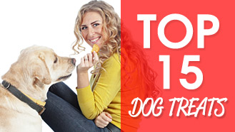 Top 15 Dog Treats