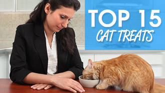 Top 15 Treats for Cats