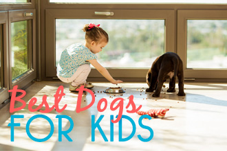 Top 5 Best Dog Breeds for Kids