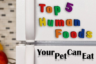 Top 5 Human Foods Your Pet Can Eat