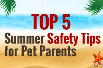 Top 5 Summer Safety Tips for Pet Parents [Infographic]