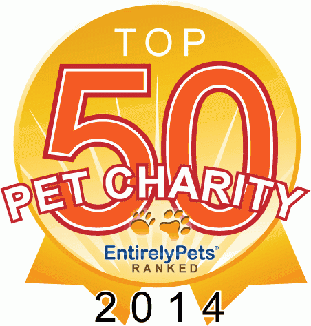 Top 50 Pet Charities of 2020