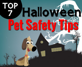 Top 7 Halloween safety Tips