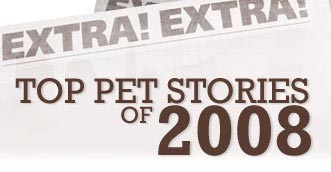 Top Pet Stories of 2008