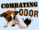 Top Products For Combating Pet Odors