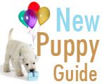 Top Products For New Puppies