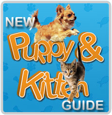 Top Products For Puppiers And Kittens