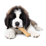 Cold Weather Essentials