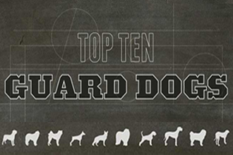 Top Ten Guard Dogs