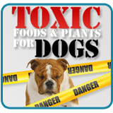 Toxic Foods & Plants for Dogs