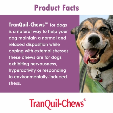 TRANQUIL-CHEWS-FOR-DOGS-60-SOFT-CHEWS