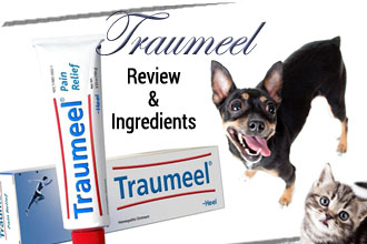 Traumeel Review & Ingredients