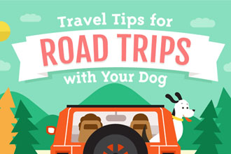 Traveling with Dogs and Puppies: A Guide to Dog-Friendly Vacations