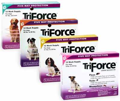 TRIFORCEDOG