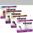 TriForce for Dogs