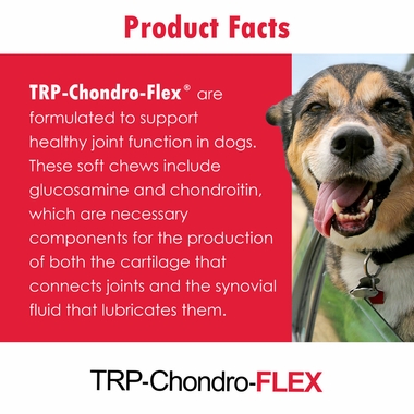 CHONDROFLEXDS120