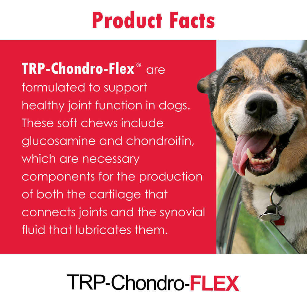 CHONDROFLEXDS120