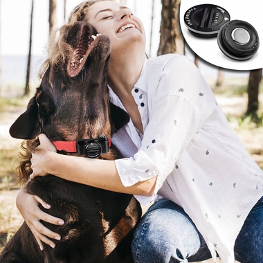 TRUSTEDPT-RFA67-REPLCEMNT-BTTERIES-PTSFE-COLLRS-10PK