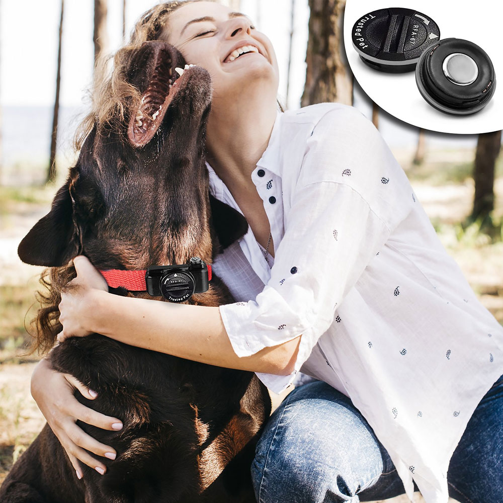 TRUSTEDPT-RFA67-REPLCEMNT-BTTERIES-PTSFE-COLLRS-10PK