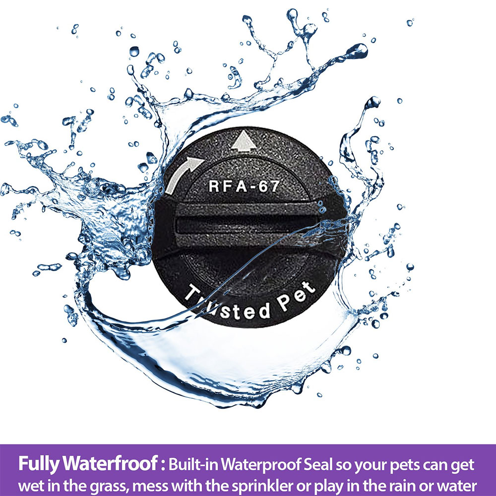 TRUSTEDPT-RFA67-REPLCEMNT-BTTERIES-PTSFE-COLLRS-10PK