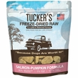 TUCKERS DOG SALMON PUMPKIN FD 12OZ