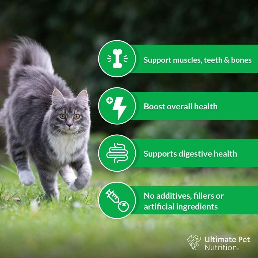 ULTIMATE-PET-NUTRITION-NUTRA-THRIVE-CAT-SUPP-1OZ