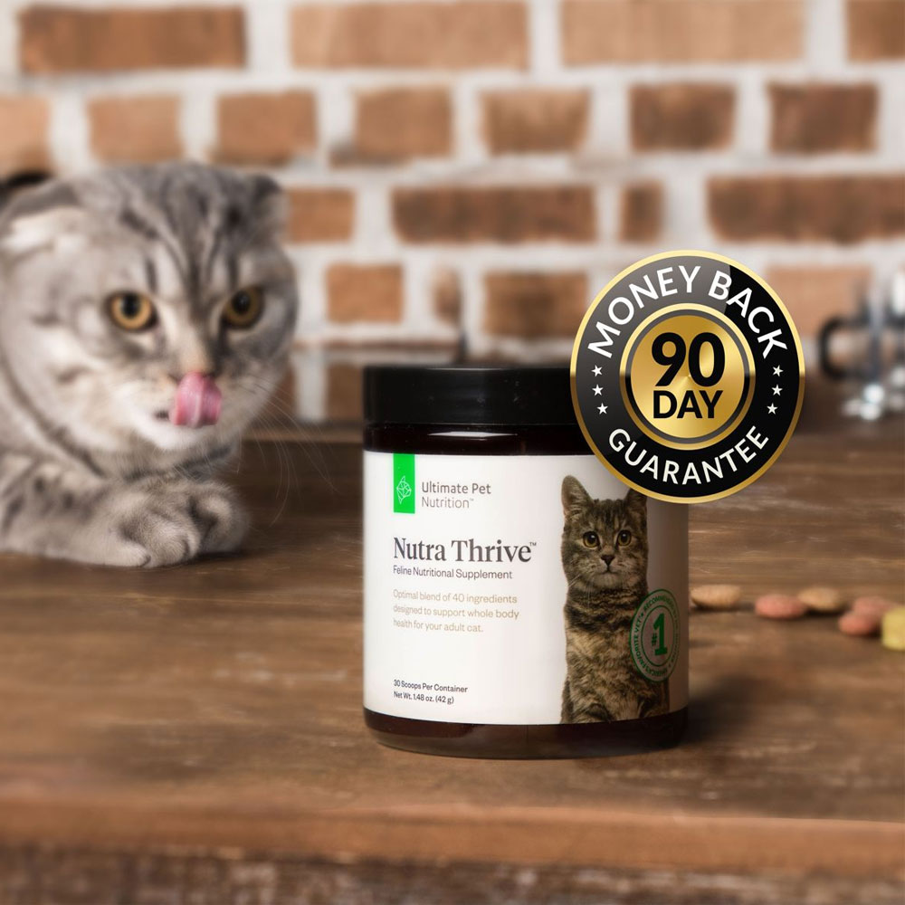ULTIMATE-PET-NUTRITION-NUTRA-THRIVE-CAT-SUPP-1OZ